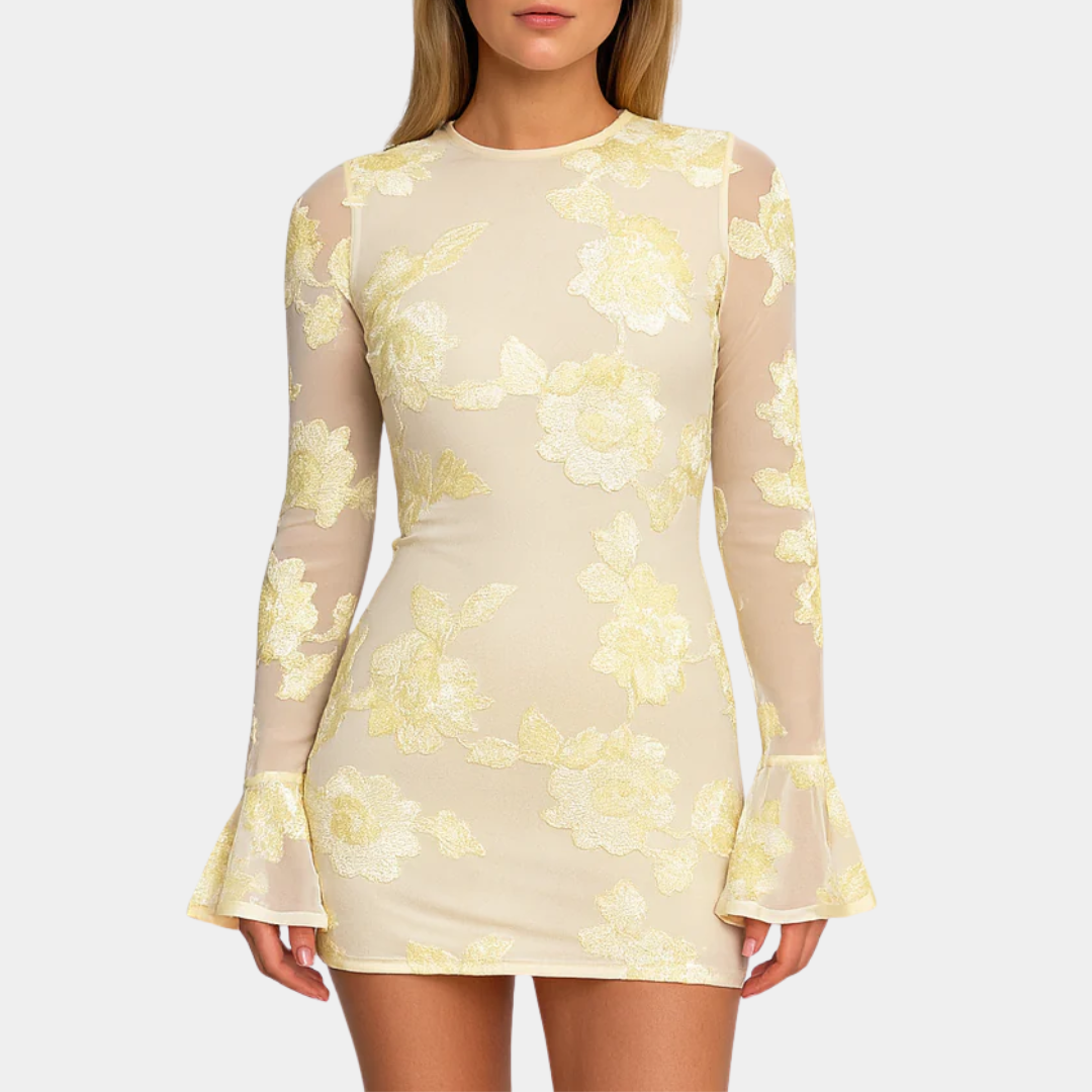 Murphy Mode | Mesh Floral Mini Dress